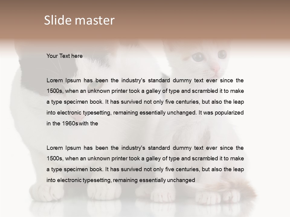 Boardroom People Humorou PowerPoint Template