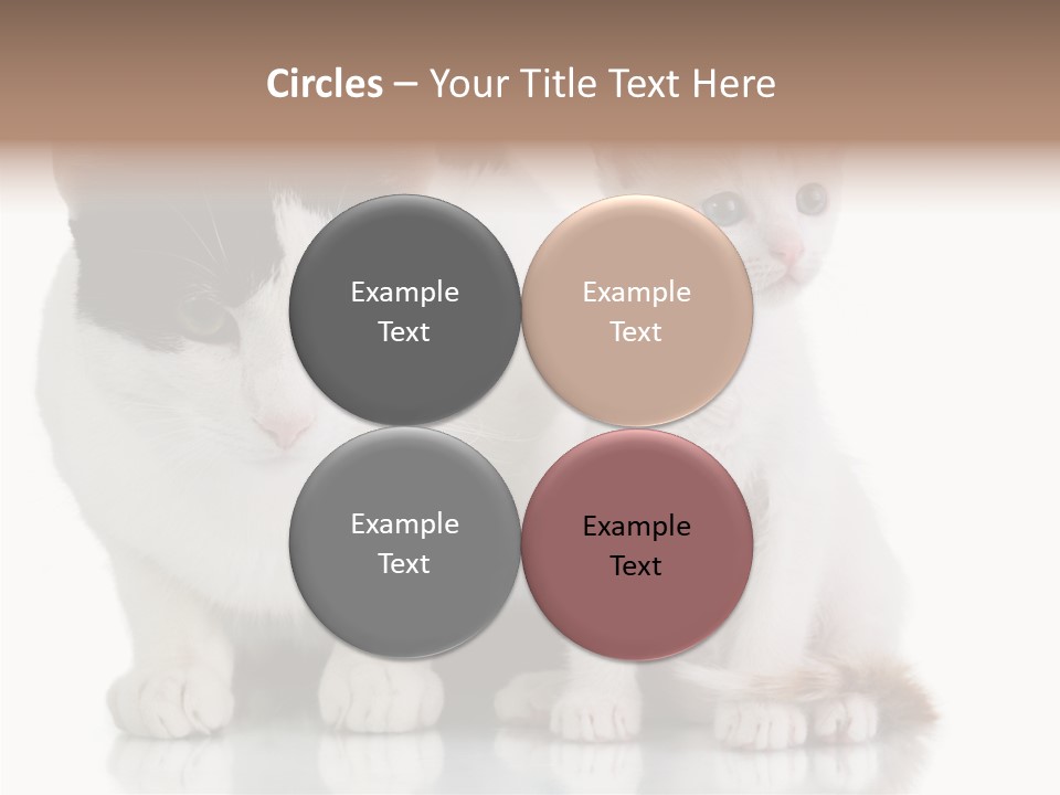 Boardroom People Humorou PowerPoint Template