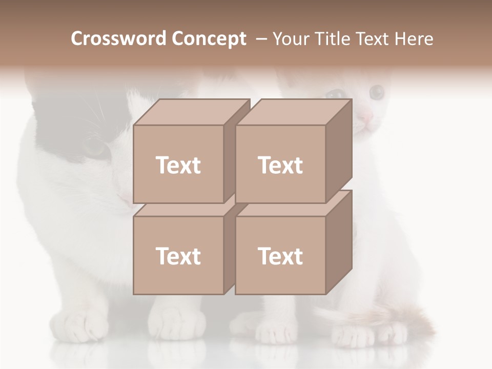 Boardroom People Humorou PowerPoint Template