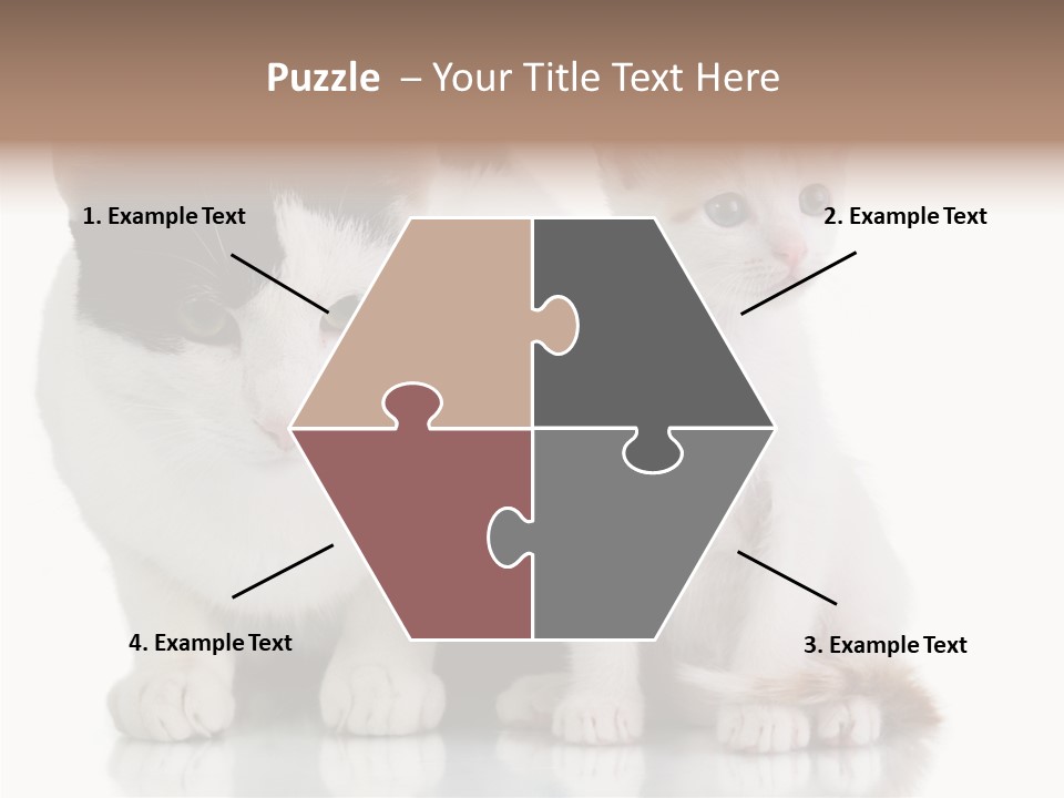 Boardroom People Humorou PowerPoint Template