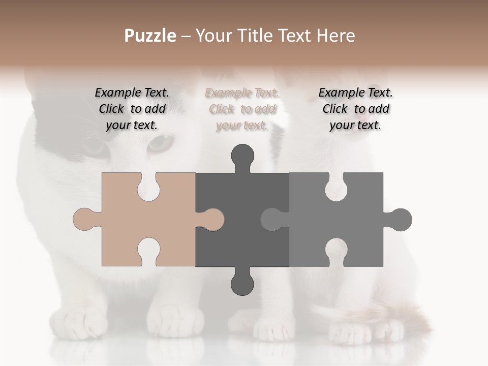 Boardroom People Humorou PowerPoint Template