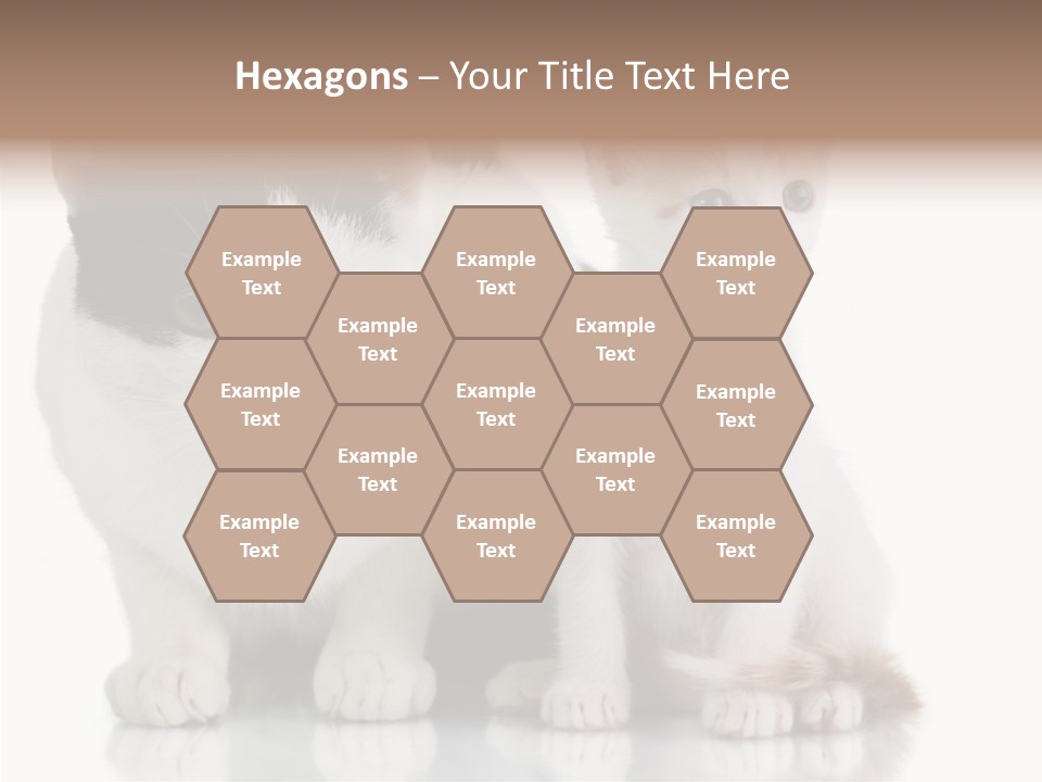 Boardroom People Humorou PowerPoint Template