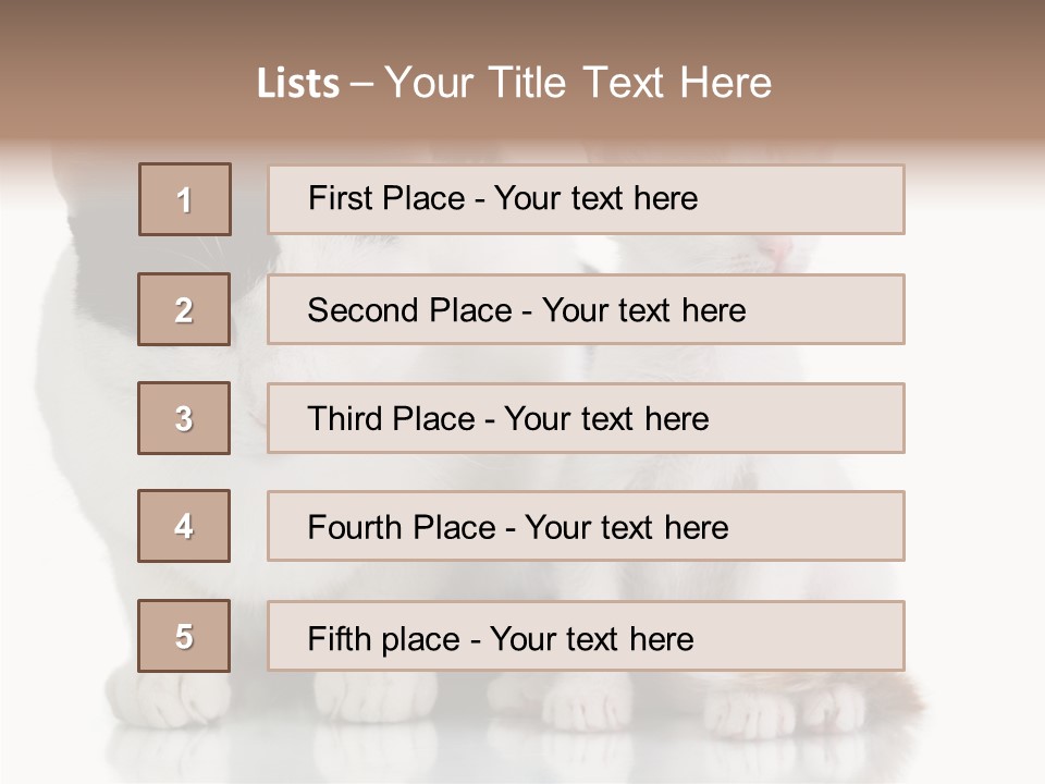 Boardroom People Humorou PowerPoint Template