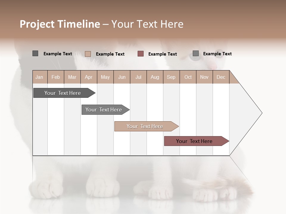 Boardroom People Humorou PowerPoint Template