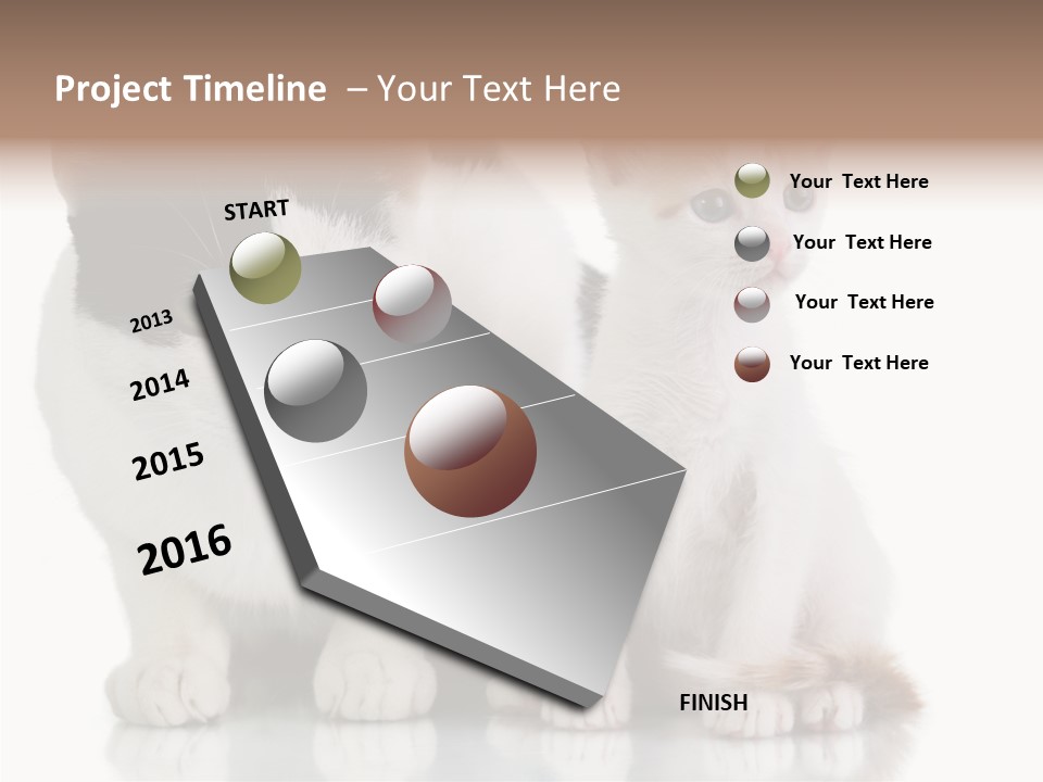 Boardroom People Humorou PowerPoint Template