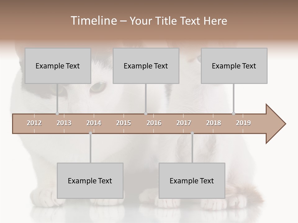 Boardroom People Humorou PowerPoint Template