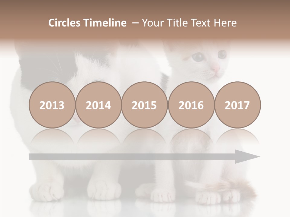 Boardroom People Humorou PowerPoint Template