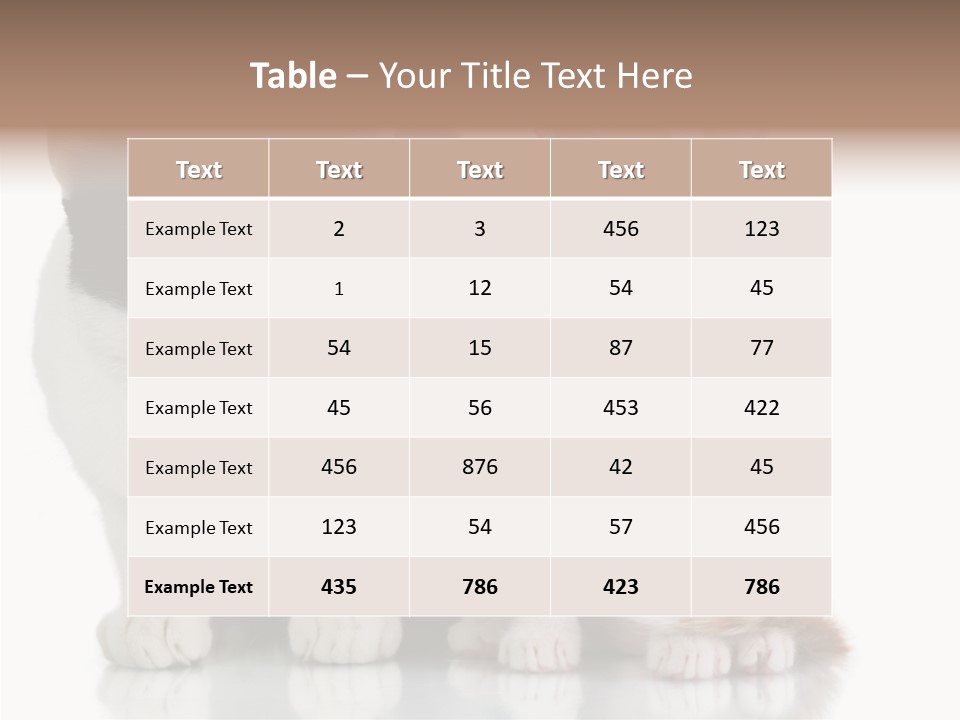 Boardroom People Humorou PowerPoint Template