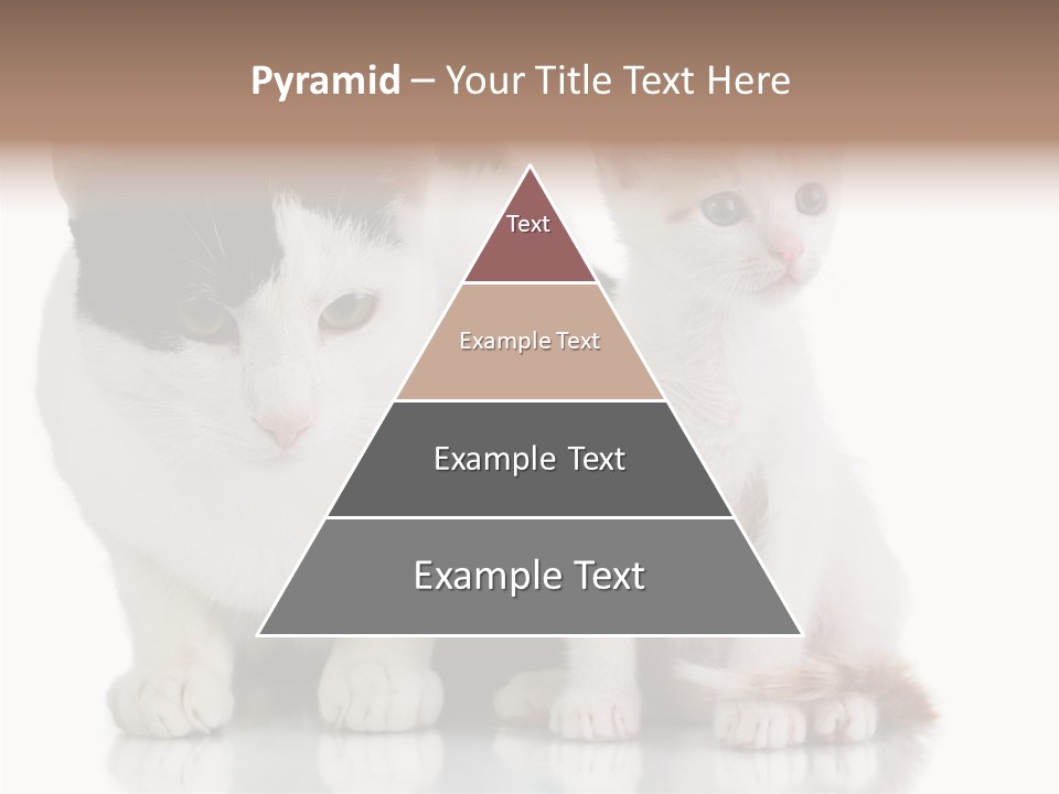 Boardroom People Humorou PowerPoint Template