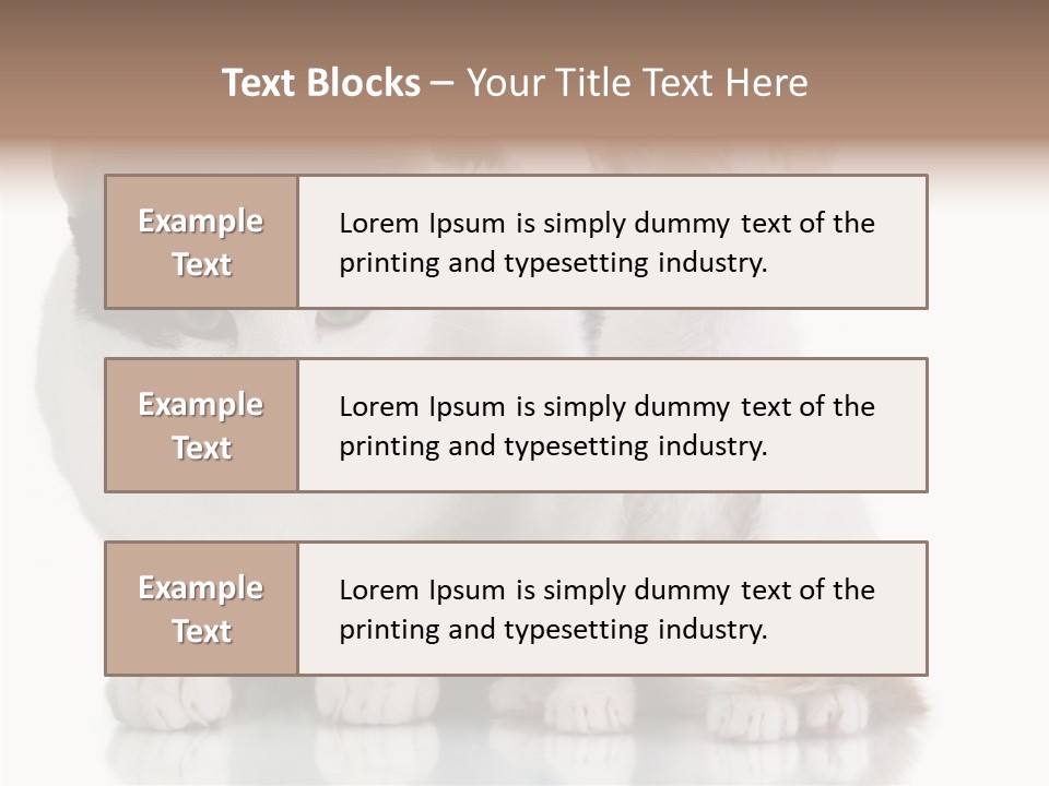 Boardroom People Humorou PowerPoint Template