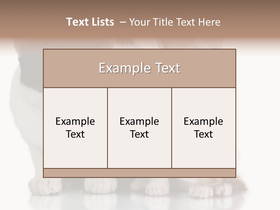 Boardroom People Humorou PowerPoint Template