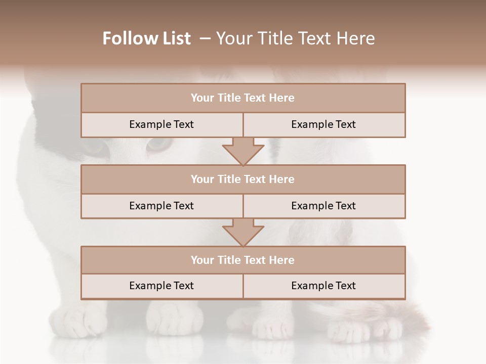Boardroom People Humorou PowerPoint Template