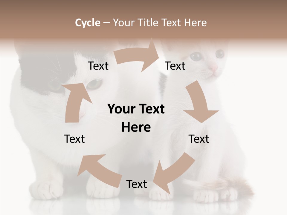 Boardroom People Humorou PowerPoint Template