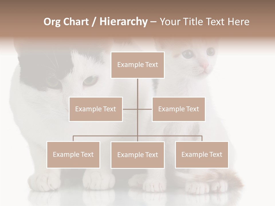 Boardroom People Humorou PowerPoint Template