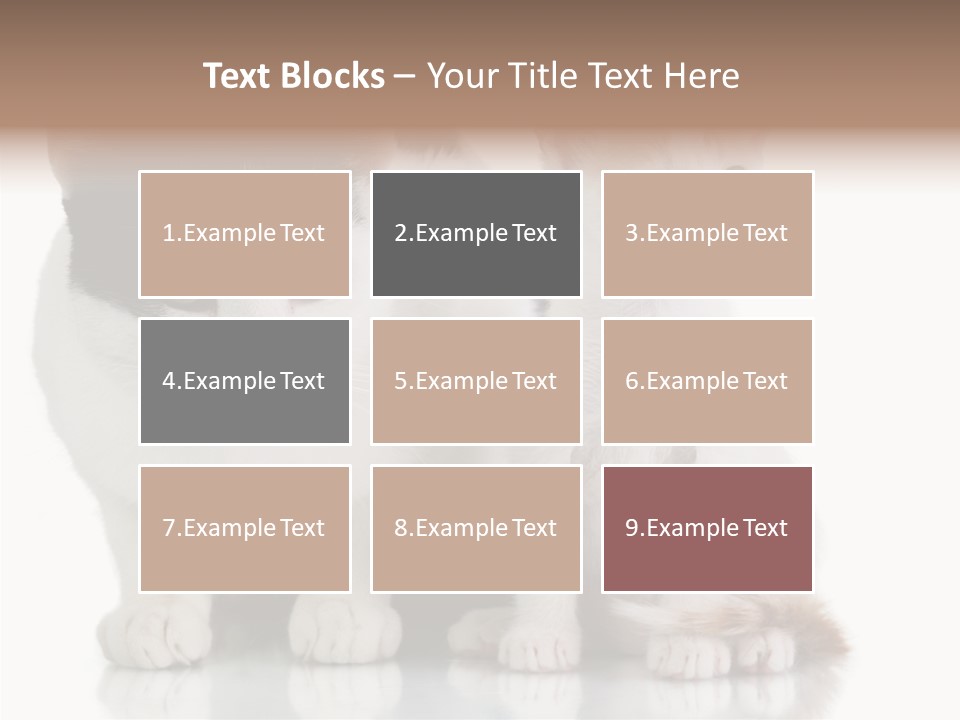 Boardroom People Humorou PowerPoint Template