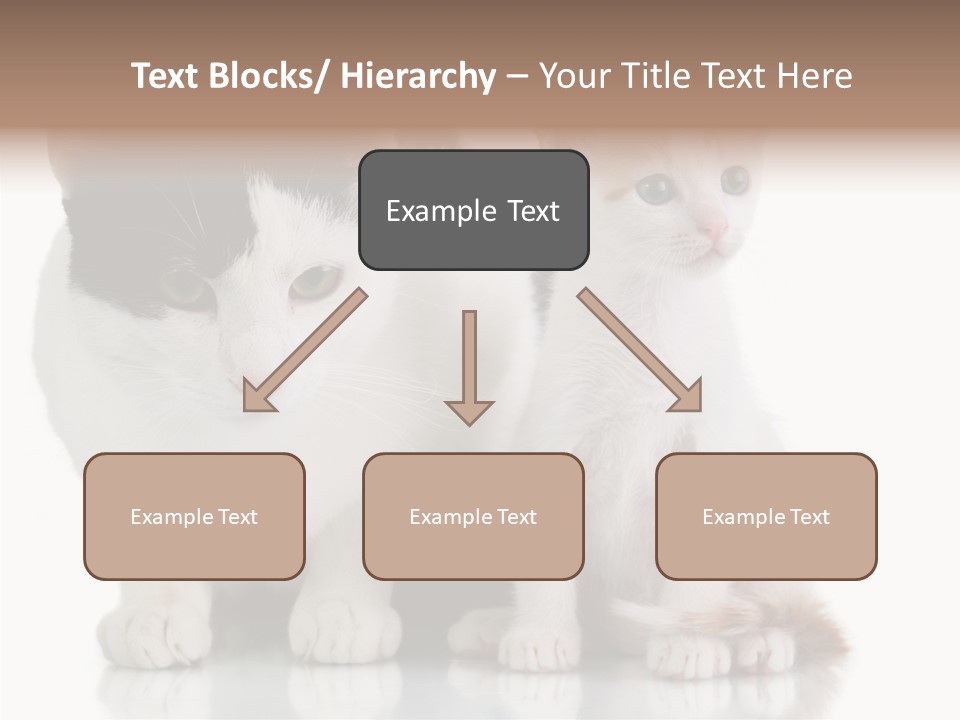 Boardroom People Humorou PowerPoint Template