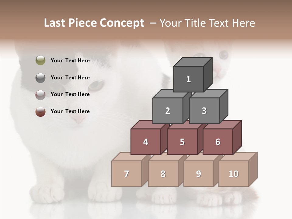 Boardroom People Humorou PowerPoint Template