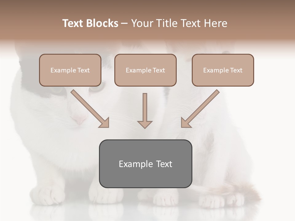 Boardroom People Humorou PowerPoint Template