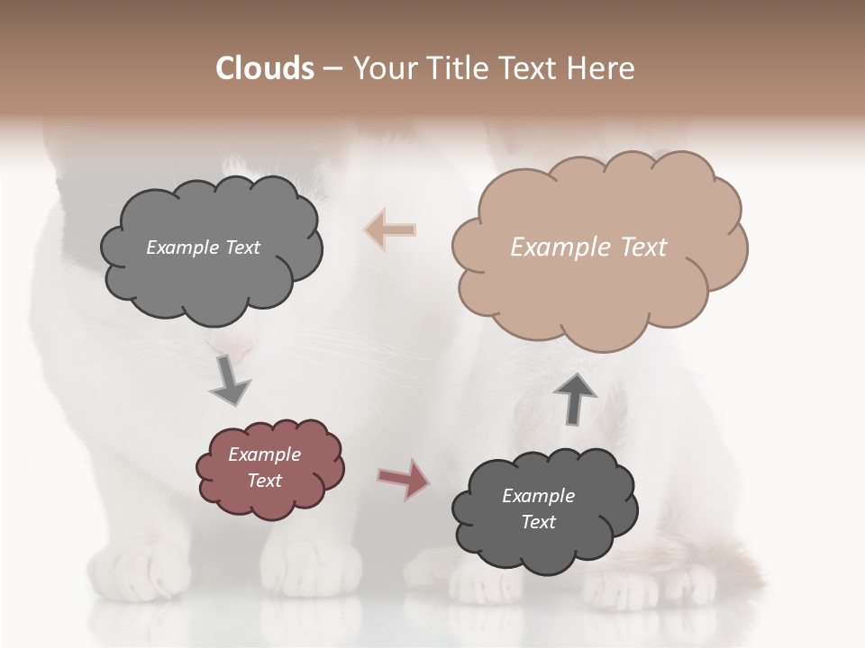 Boardroom People Humorou PowerPoint Template
