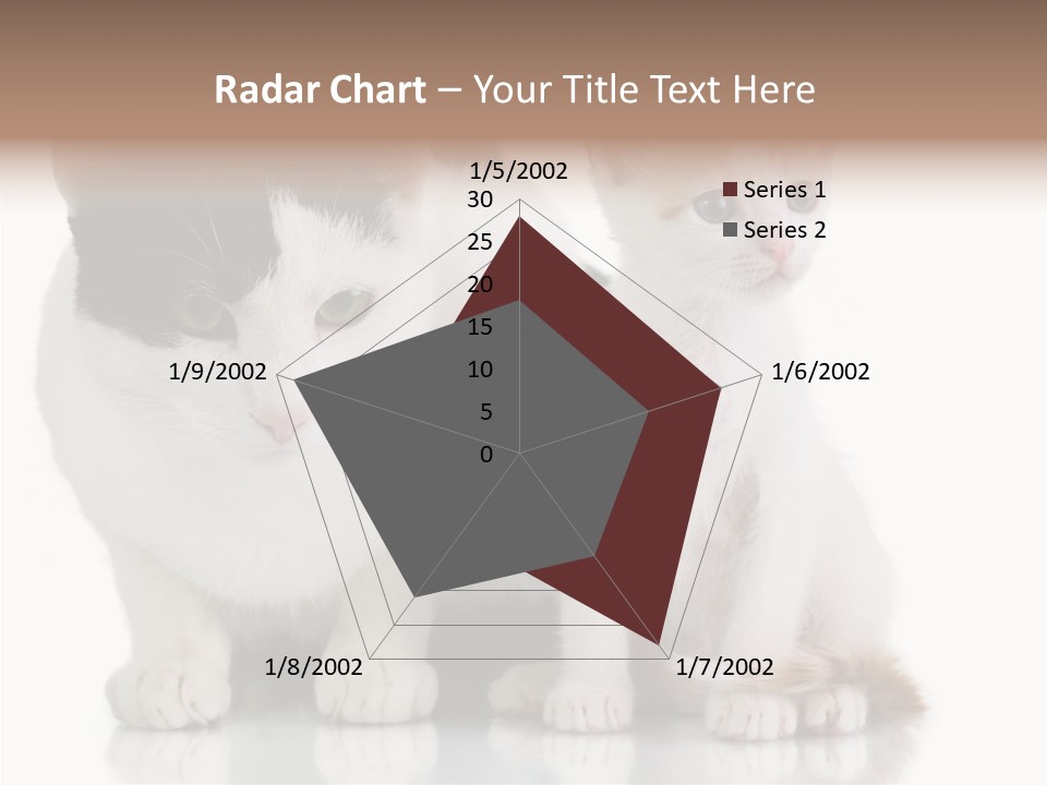 Boardroom People Humorou PowerPoint Template