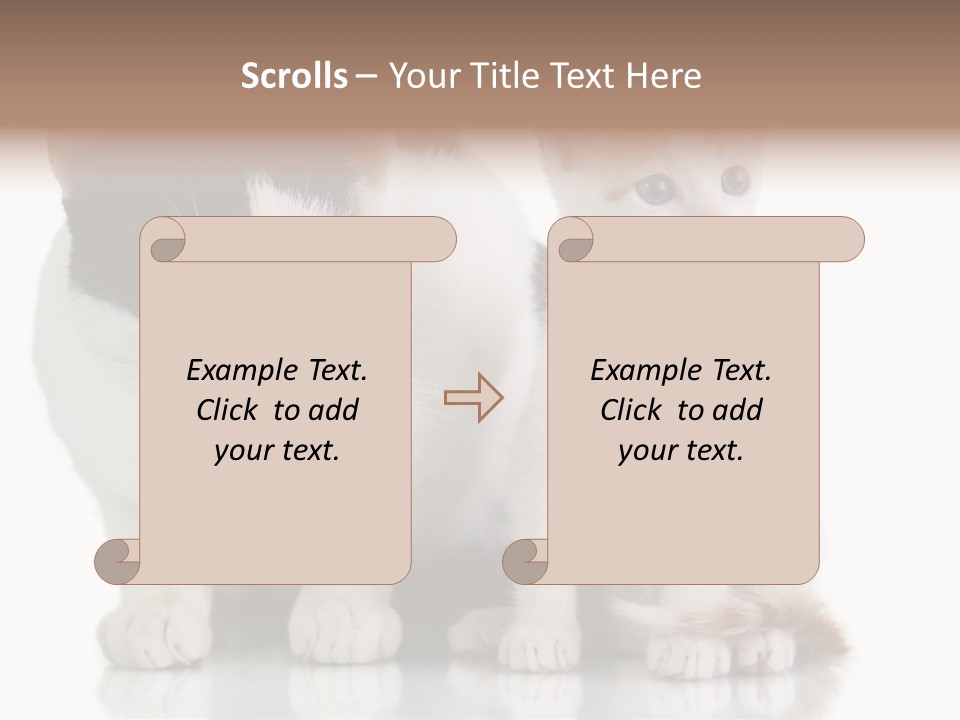 Boardroom People Humorou PowerPoint Template