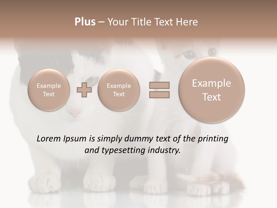Boardroom People Humorou PowerPoint Template
