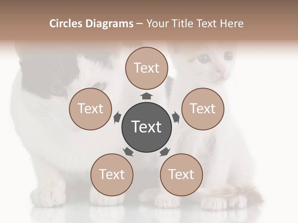 Boardroom People Humorou PowerPoint Template