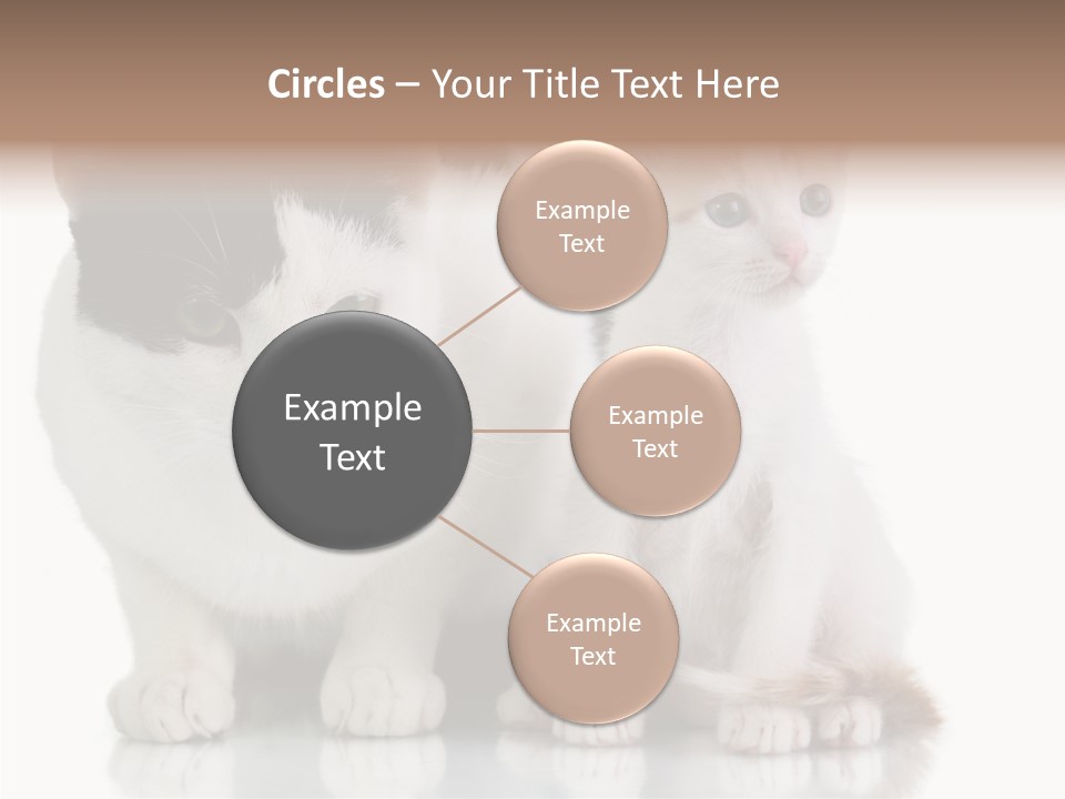 Boardroom People Humorou PowerPoint Template