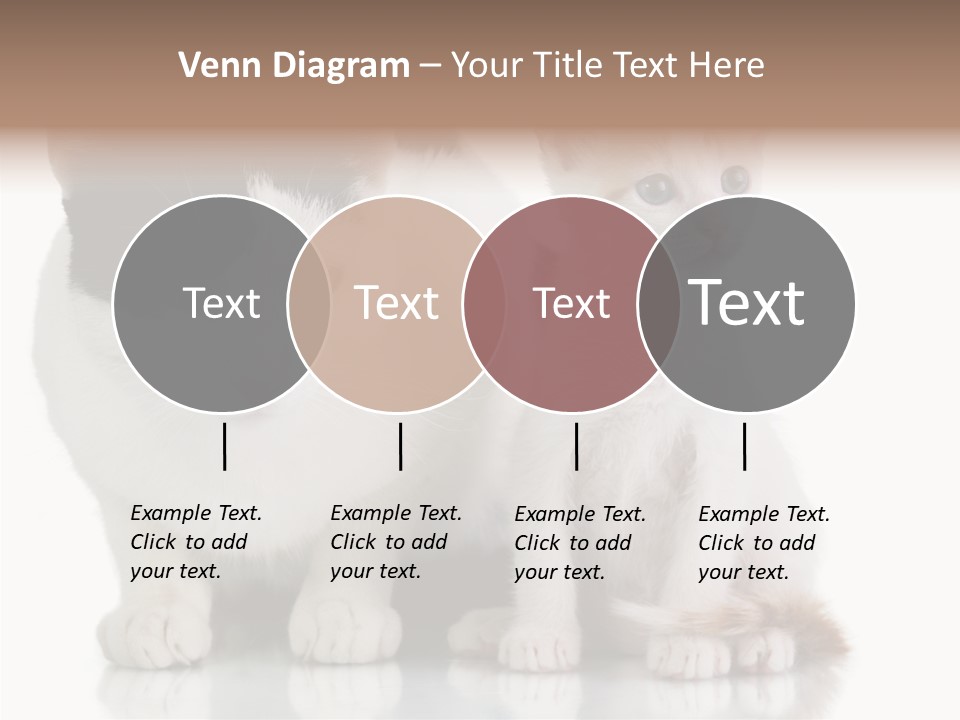 Boardroom People Humorou PowerPoint Template