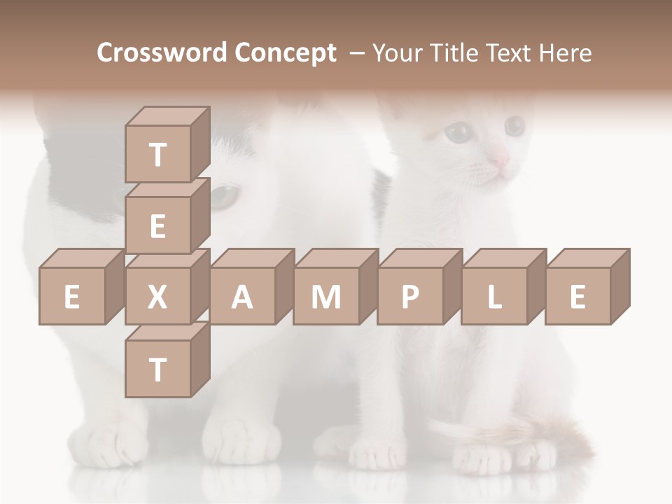 Boardroom People Humorou PowerPoint Template