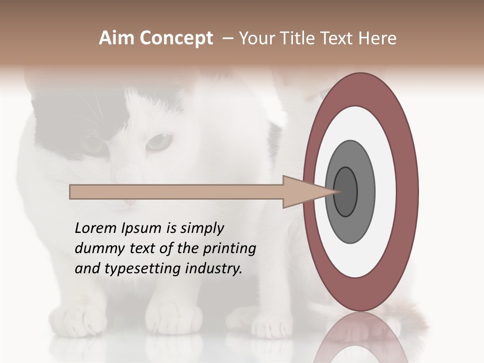 Boardroom People Humorou PowerPoint Template