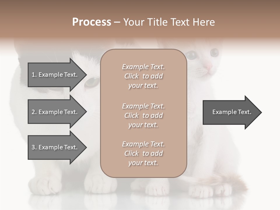 Boardroom People Humorou PowerPoint Template