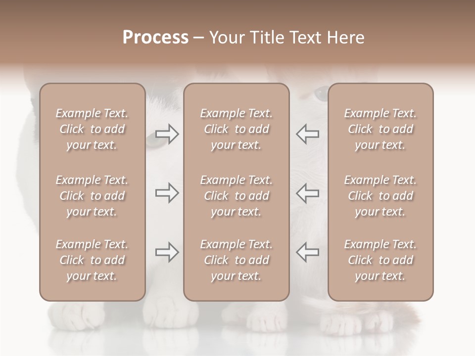 Boardroom People Humorou PowerPoint Template