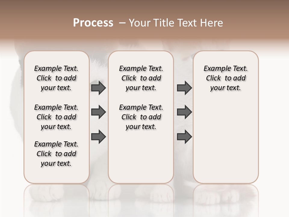 Boardroom People Humorou PowerPoint Template