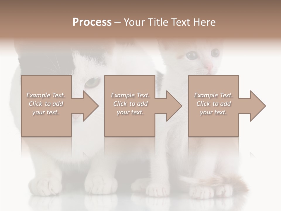 Boardroom People Humorou PowerPoint Template