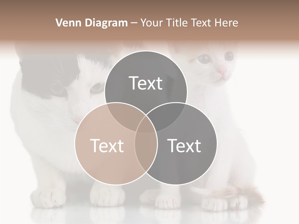 Boardroom People Humorou PowerPoint Template