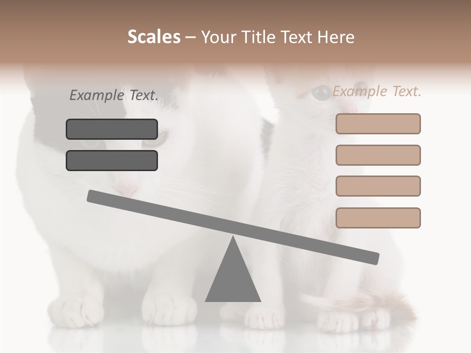 Boardroom People Humorou PowerPoint Template