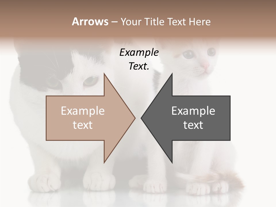 Boardroom People Humorou PowerPoint Template