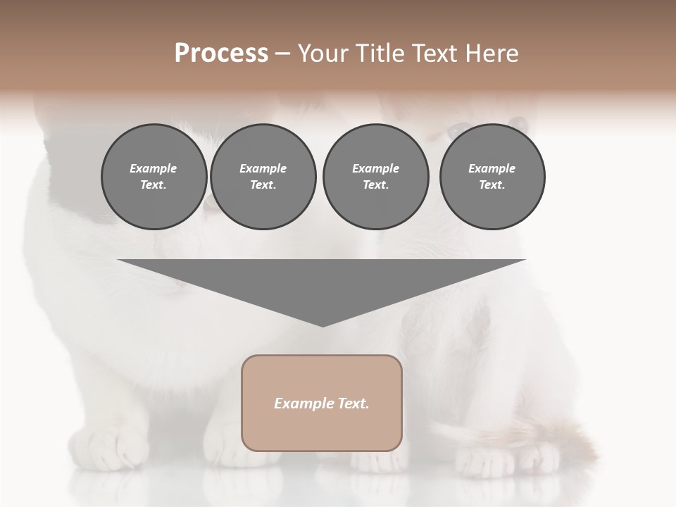 Boardroom People Humorou PowerPoint Template