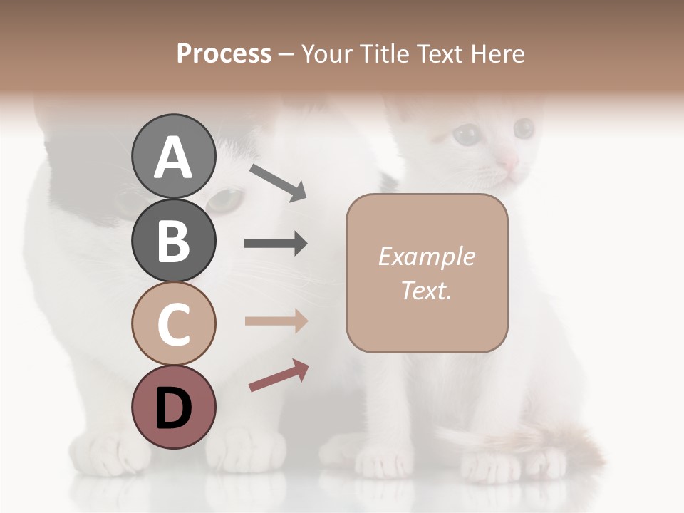 Boardroom People Humorou PowerPoint Template