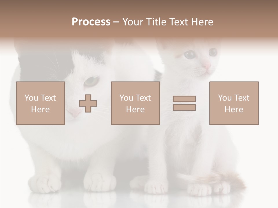 Boardroom People Humorou PowerPoint Template