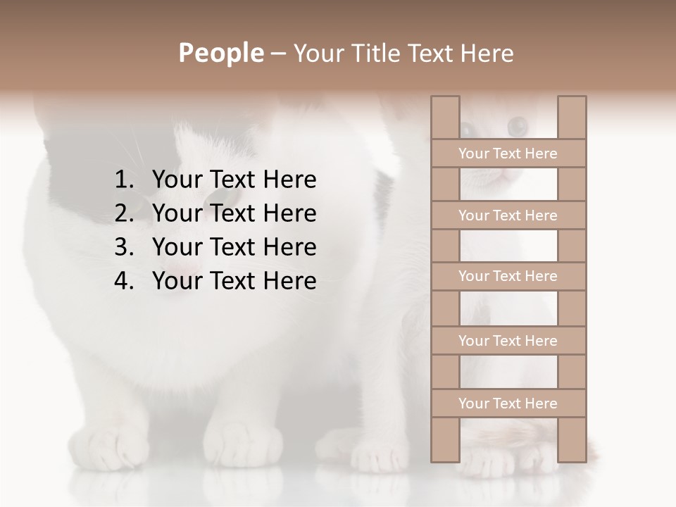 Boardroom People Humorou PowerPoint Template