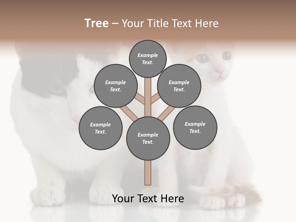 Boardroom People Humorou PowerPoint Template