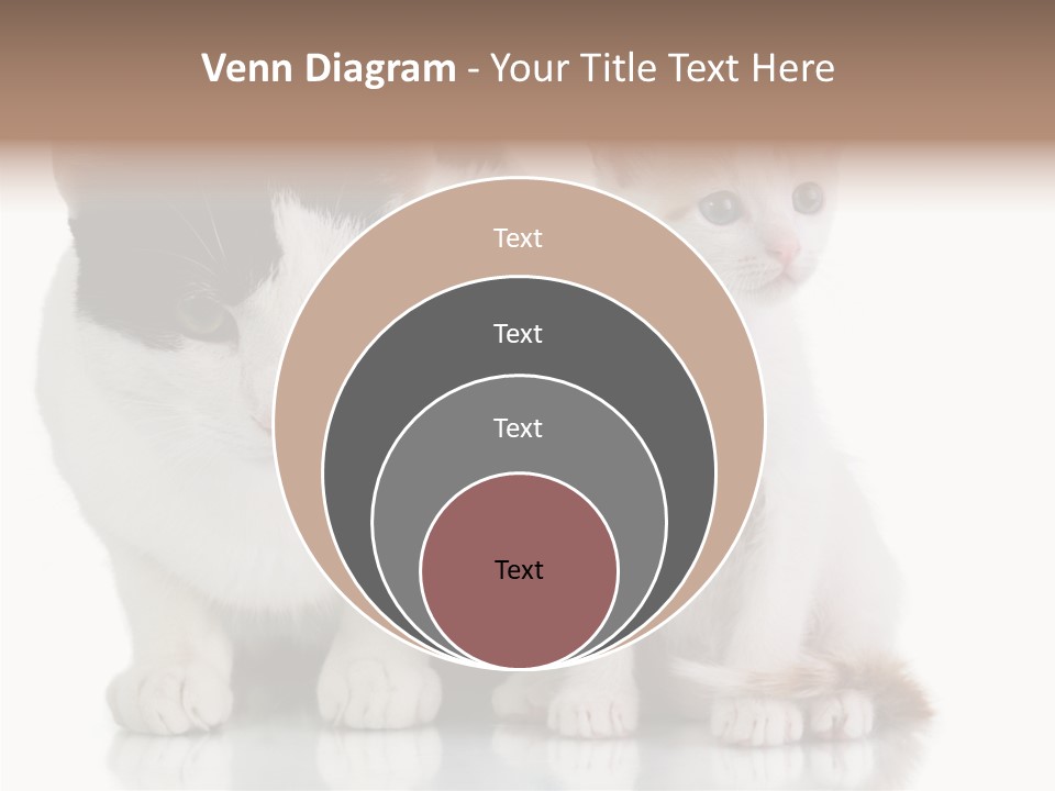 Boardroom People Humorou PowerPoint Template