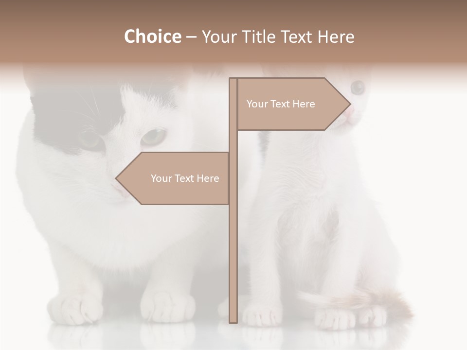 Boardroom People Humorou PowerPoint Template