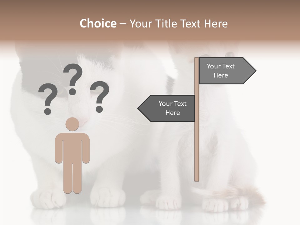 Boardroom People Humorou PowerPoint Template