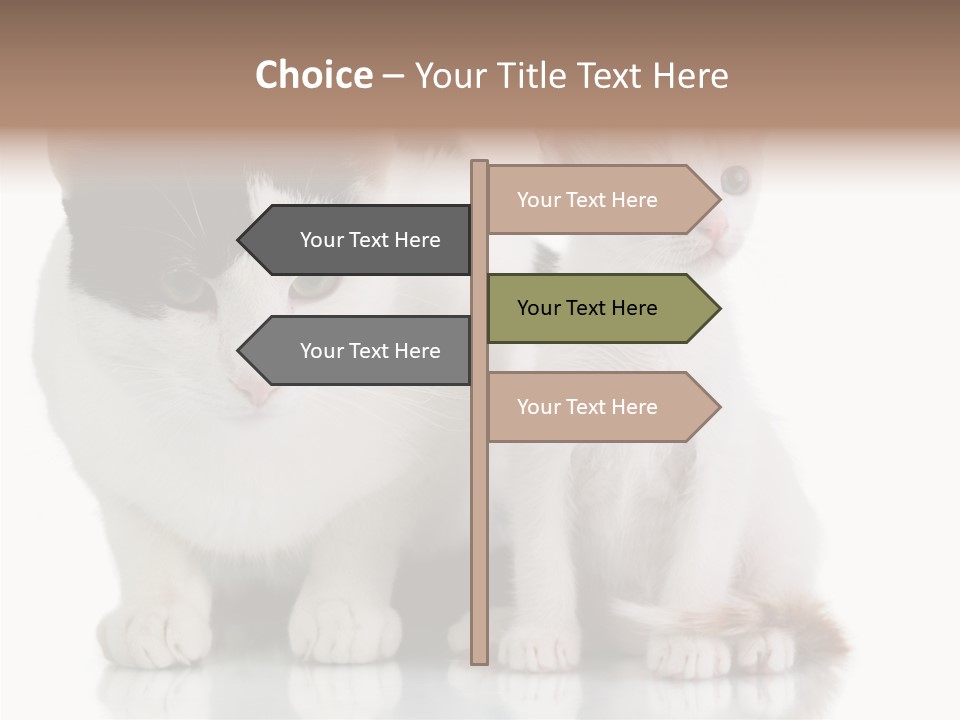 Boardroom People Humorou PowerPoint Template