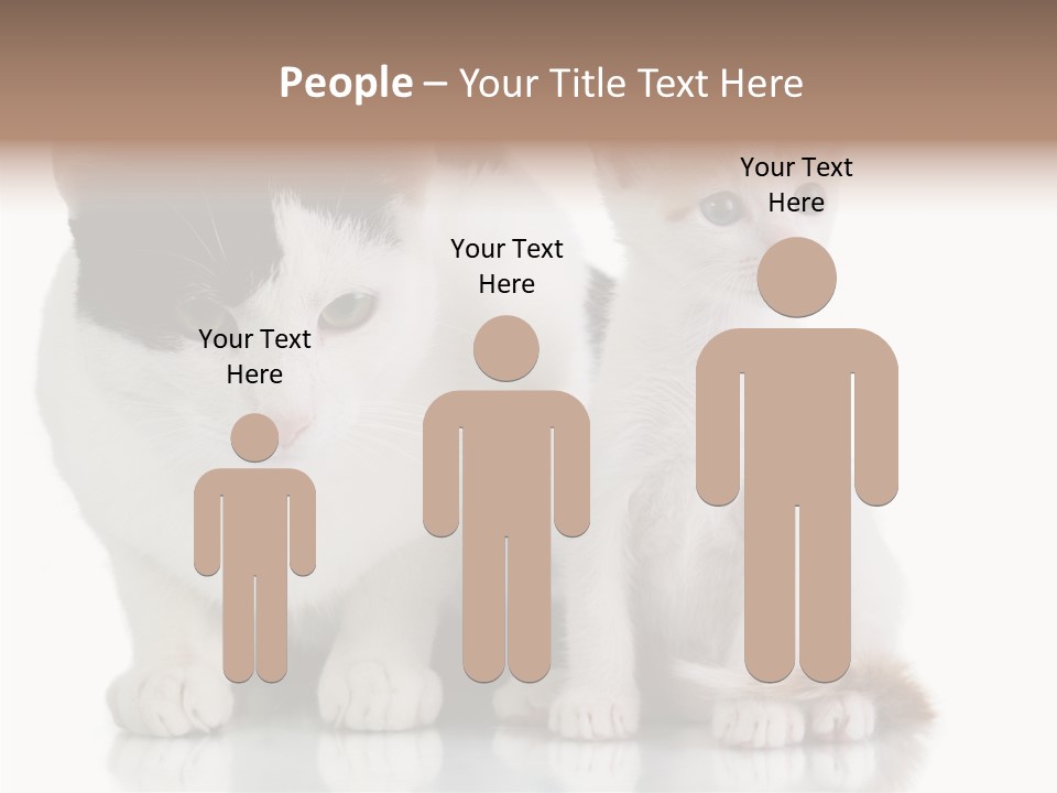 Boardroom People Humorou PowerPoint Template