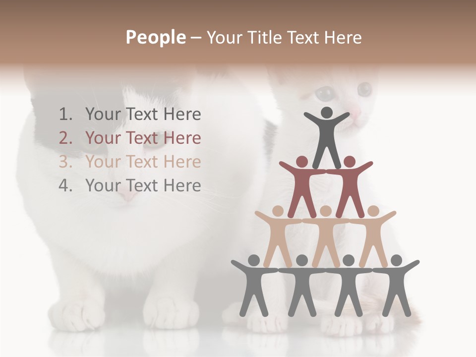 Boardroom People Humorou PowerPoint Template