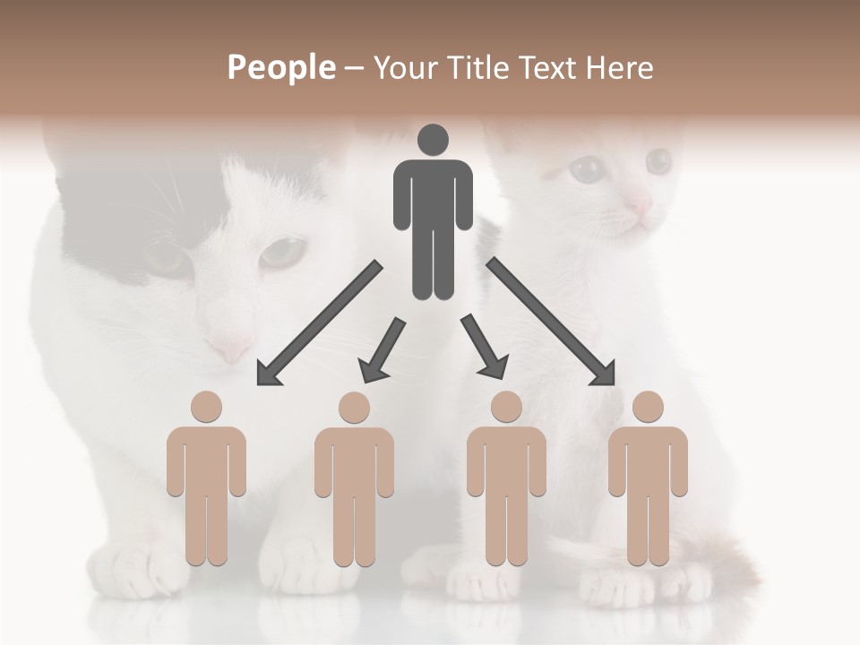 Boardroom People Humorou PowerPoint Template